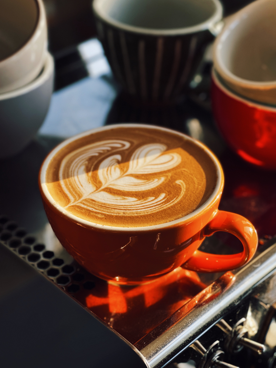 全球咖啡产业虹桥论坛即将开幕这些亮点值得关注！