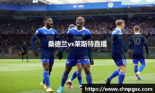 桑德兰vs莱斯特直播