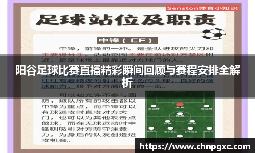 阳谷足球比赛直播精彩瞬间回顾与赛程安排全解析
