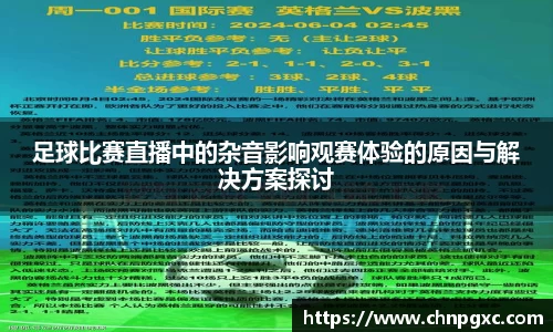 足球比赛直播中的杂音影响观赛体验的原因与解决方案探讨