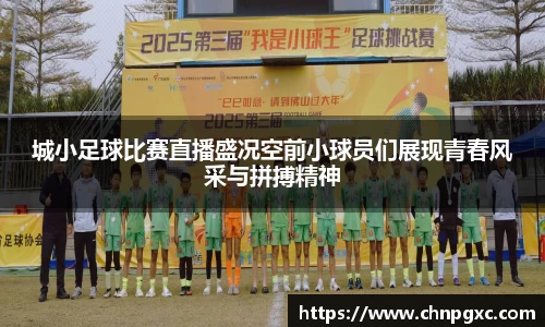 城小足球比赛直播盛况空前小球员们展现青春风采与拼搏精神