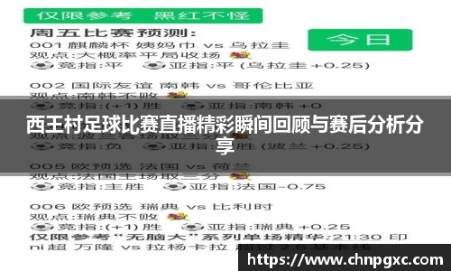 西王村足球比赛直播精彩瞬间回顾与赛后分析分享