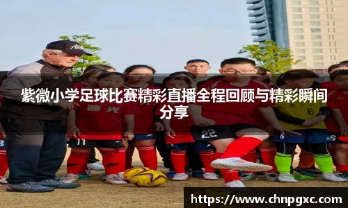 紫微小学足球比赛精彩直播全程回顾与精彩瞬间分享