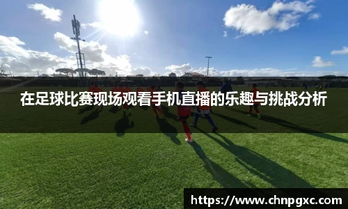 在足球比赛现场观看手机直播的乐趣与挑战分析