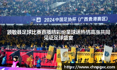 额敏县足球比赛直播精彩纷呈球迷热情高涨共同见证足球盛宴