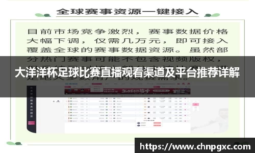 大洋洋杯足球比赛直播观看渠道及平台推荐详解