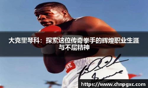 大克里琴科：探索这位传奇拳手的辉煌职业生涯与不屈精神