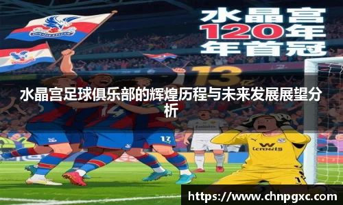 水晶宫足球俱乐部的辉煌历程与未来发展展望分析