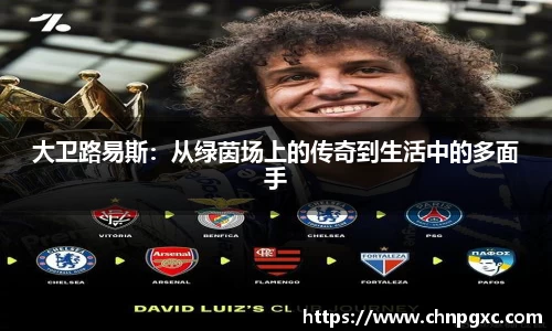 大卫路易斯：从绿茵场上的传奇到生活中的多面手