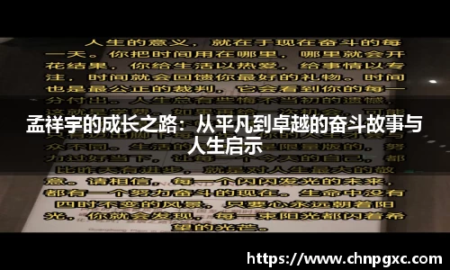 米乐yy易游体育