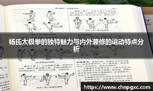 杨氏太极拳的独特魅力与内外兼修的运动特点分析